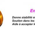 fiche ambre
