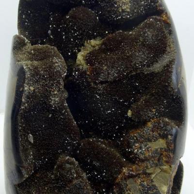Septaria sauvage 2.940 kgs