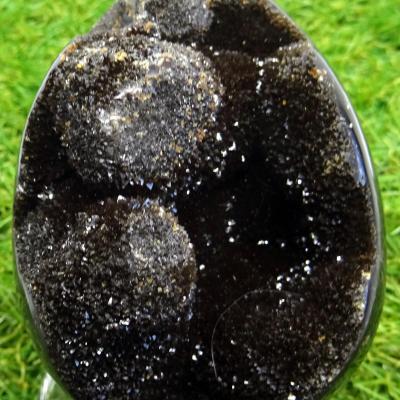 Septaria sauvage 2C