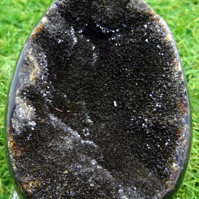 Septaria sauvage 3