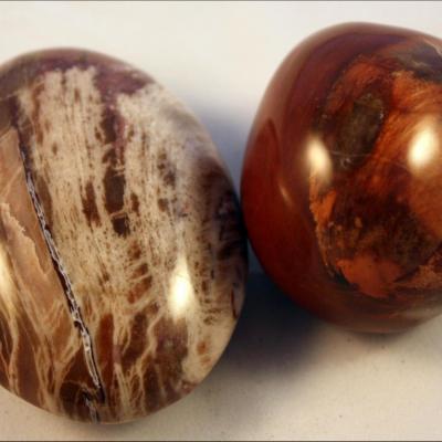 Bois Fossile  (175)