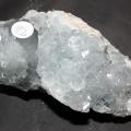 Celest817g