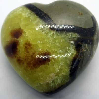 Coeur Septaria 14
