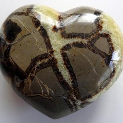 Coeur Septaria 22