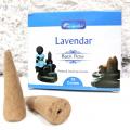 Cones back flow lavender lavande