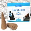 Cones back flow nag champa