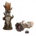 Homme de la forêt