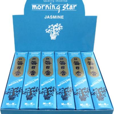 Morning Star Jasmin