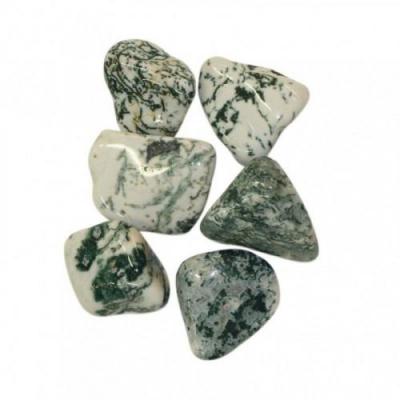 Agate Dendritique (Botswana)