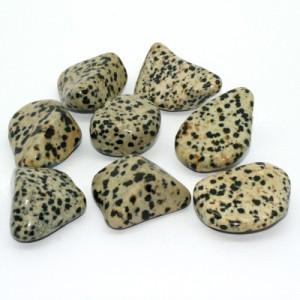 Jaspe Dalmatien