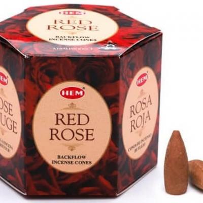 Rose rouge fontaine (backflow)