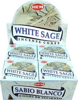 Sauge Blanche