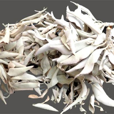 Sauge Blanche 50 g