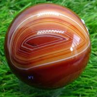 Sphcorna281