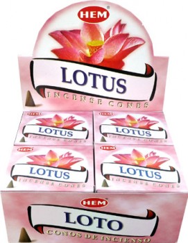 Lotus cônes