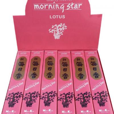 Morning Star Lotus