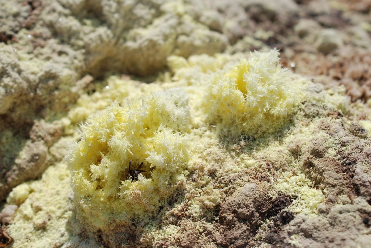 Dépôt de soufre en aiguilles jaunes autour d'une fumerolle volcanique