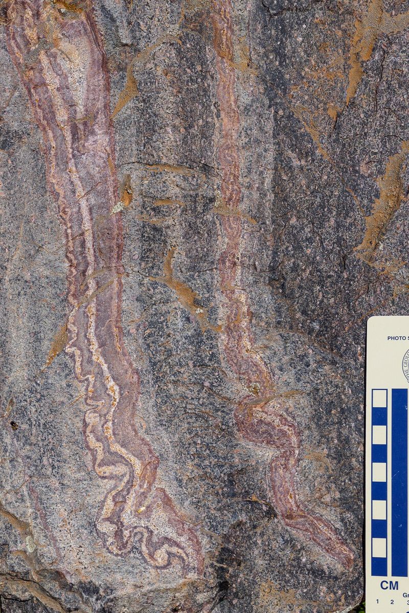 Rhyolite rubanée aux bandes d'écoulement ondulées, Albertacce, Corse